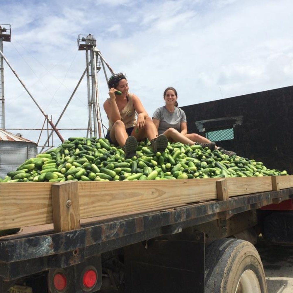 Meet your Posher, Victoria